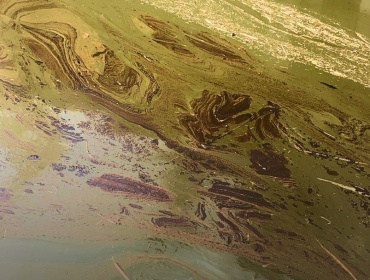 В Астраханской области обнаружили крупное загрязнение нефтепродуктами