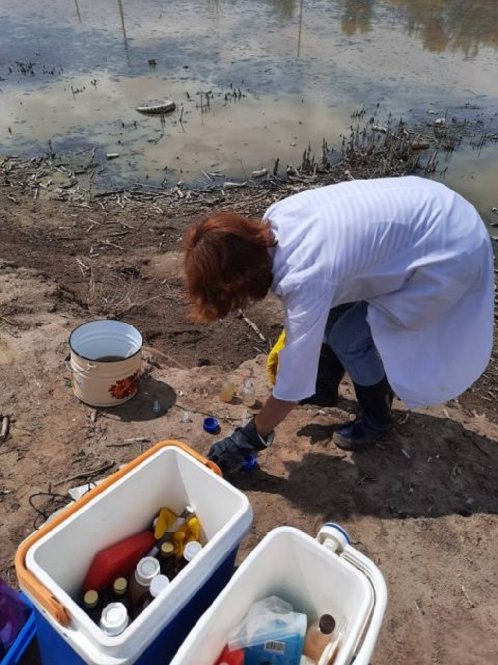 Астраханские учёные выясняют причину гибели рыбы на реке Зелёная