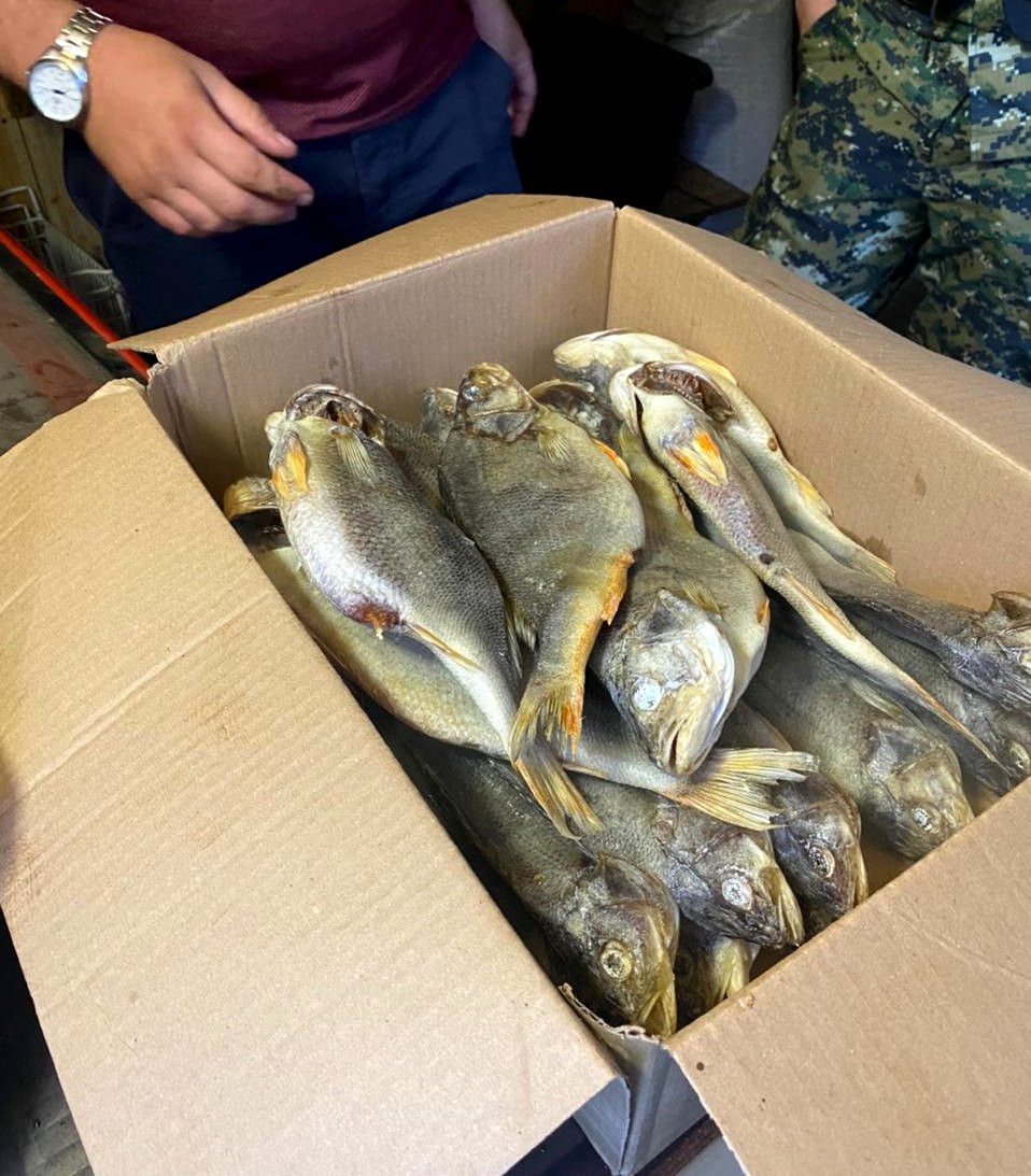 С трехстами работниками. Приставы изъяли у астраханца более 63 кг незаконно выловленной рыбы..