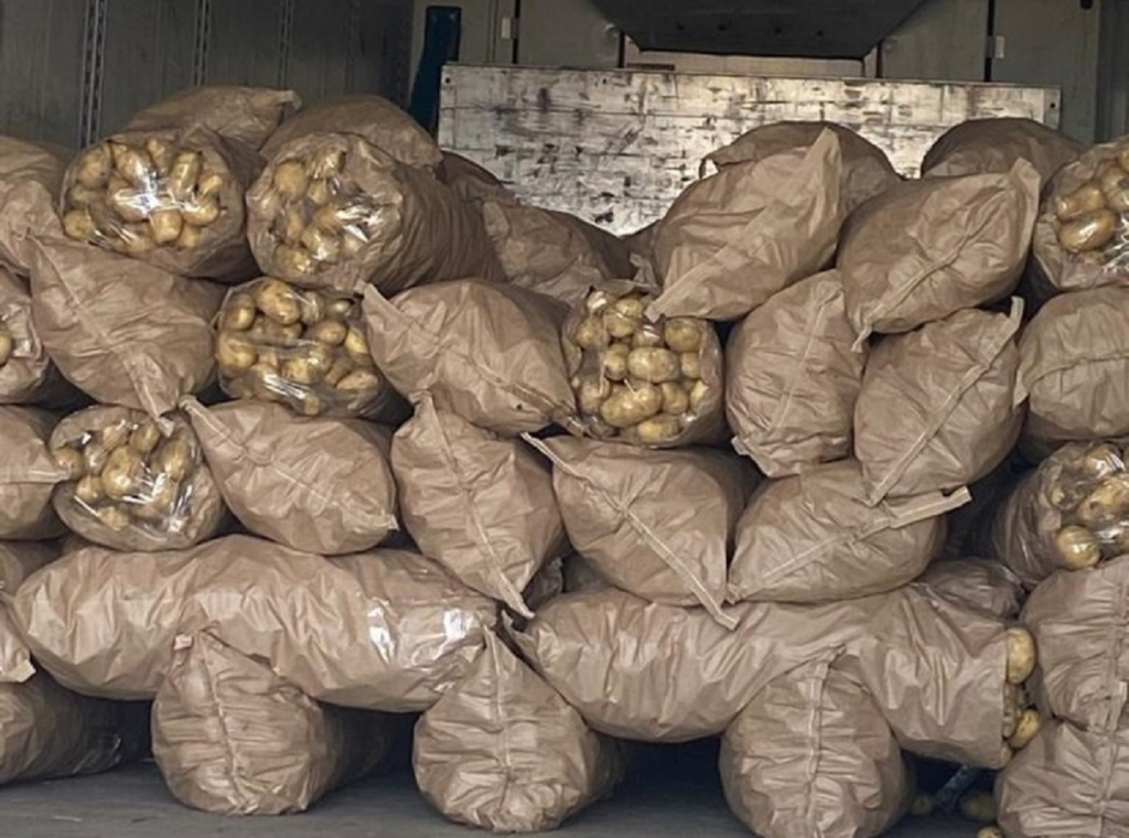 Астраханская область отправила 6,5 тысяч тонн картофеля в Беларусь и Казахстан