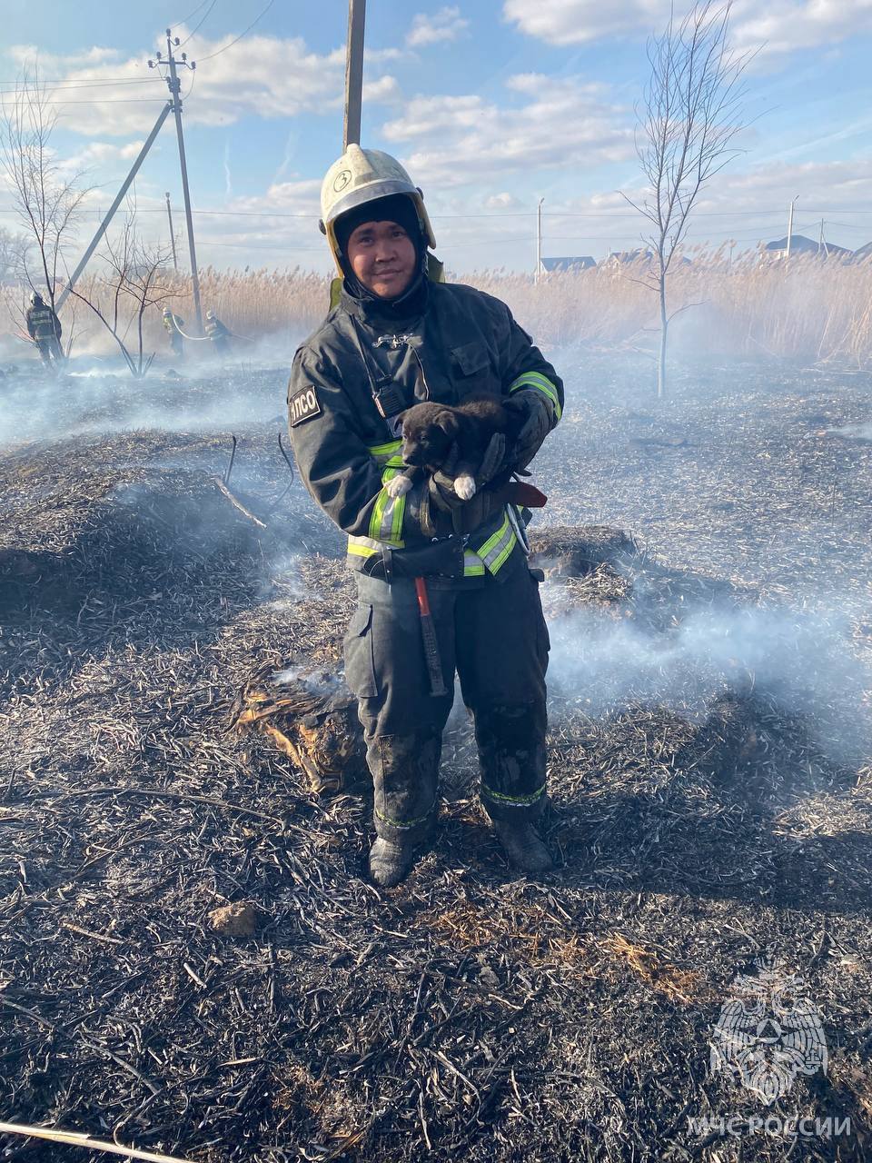 В Астрахани пожарные спасли щенка и нашли ему дом