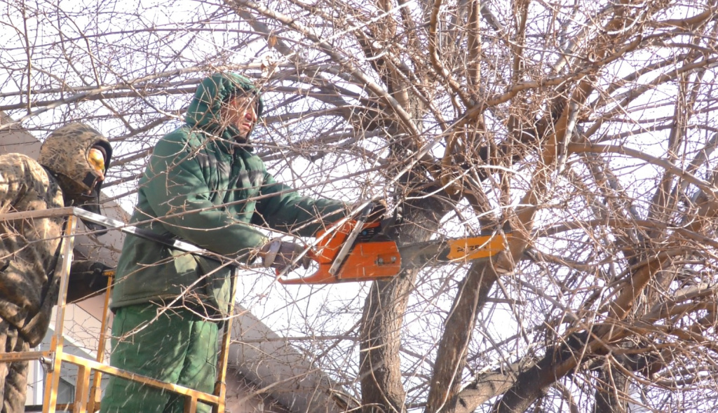 Дерево целей предприятия пример схема. Дерево целей пример таблица. Построение дерева целей организации пример. Построение дерева процессов. Организационная структура арис.