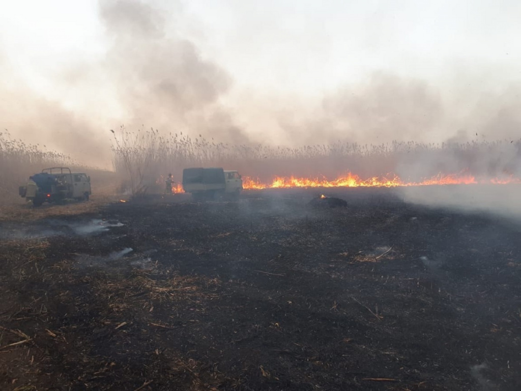 На участке Астраханского заповедника ликвидируют загорание тростника