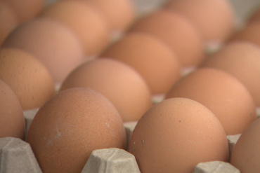 Птицефабрика «Харабалинская» доставила яйца в Астрахань за 7 минут
