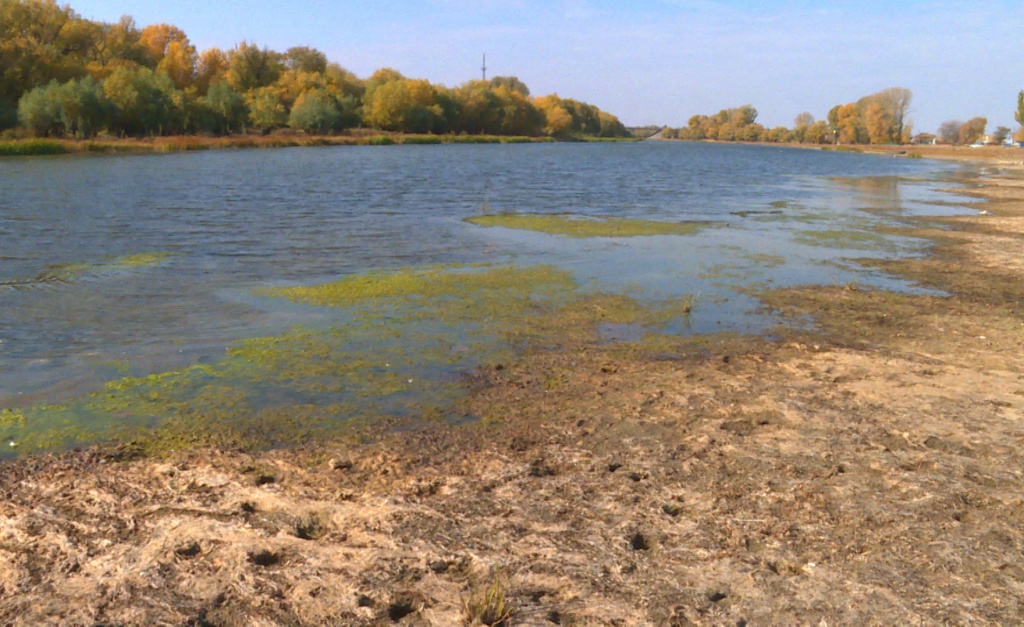 Астраханцы бьют тревогу из-за обмеления двух рек в Камызякском районе