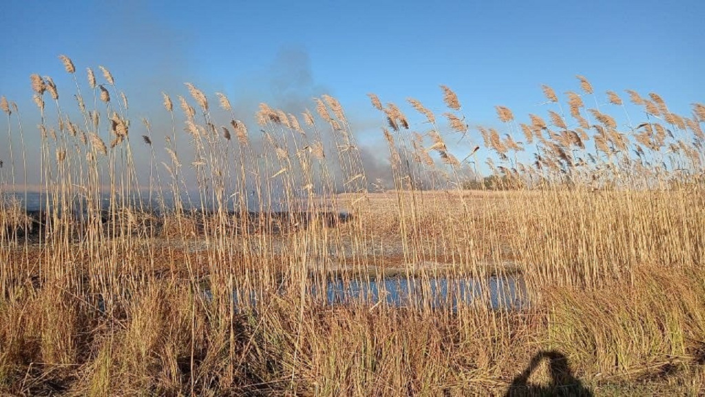 В Астрахани и пяти районах области снова ожидается запах гари