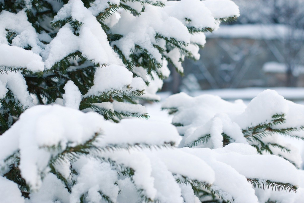 В Астраханской области 25 января ожидаются снег и гололедица