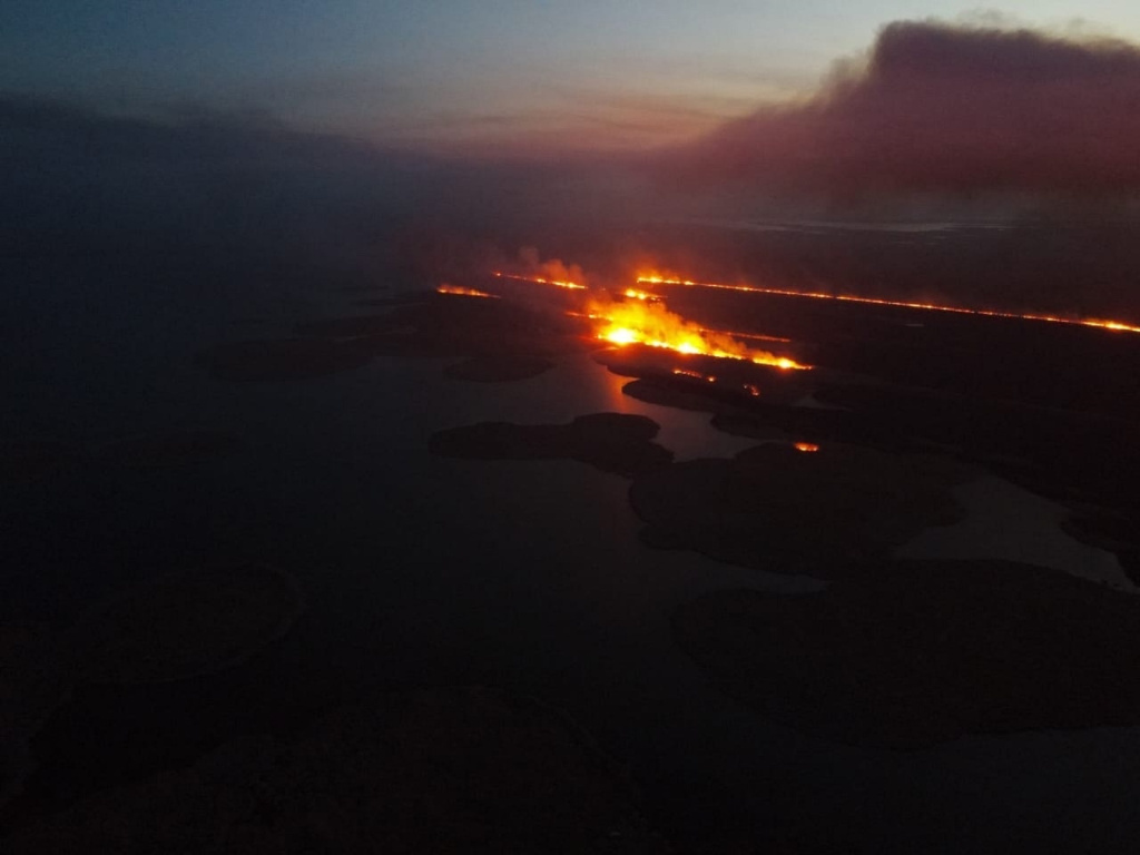В Астраханском заповеднике рассказали подробности крупных пожаров
