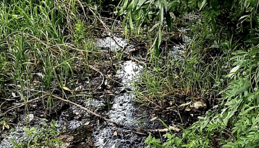 В Ахтубинске «Водоканал» оштрафован за причинённый вред почвам и реке