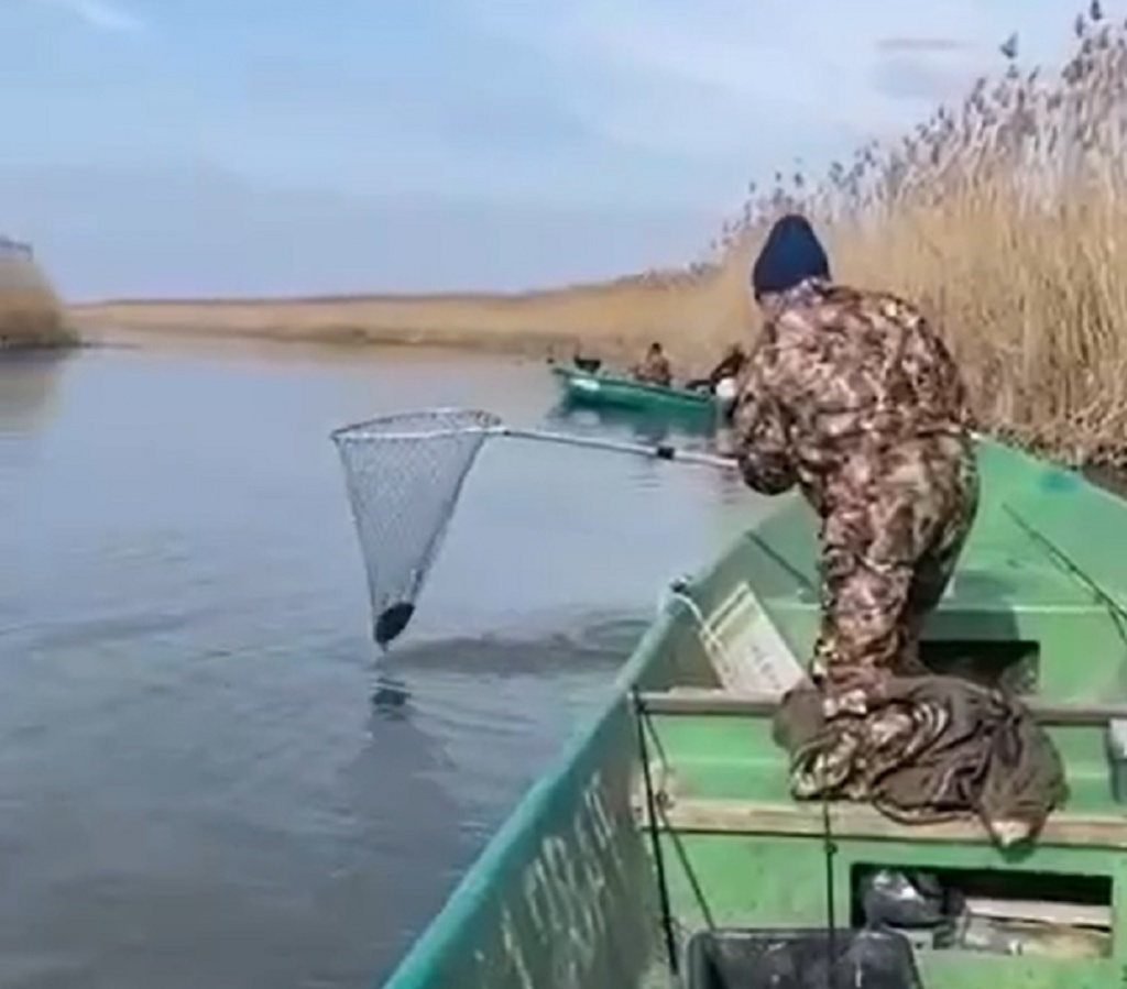 В Астрахани полицейские выявили иногороднего рыбака-нарушителя