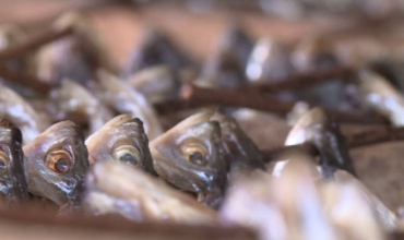 В Астраханской области выявили недобросовестного производителя рыбной продукции