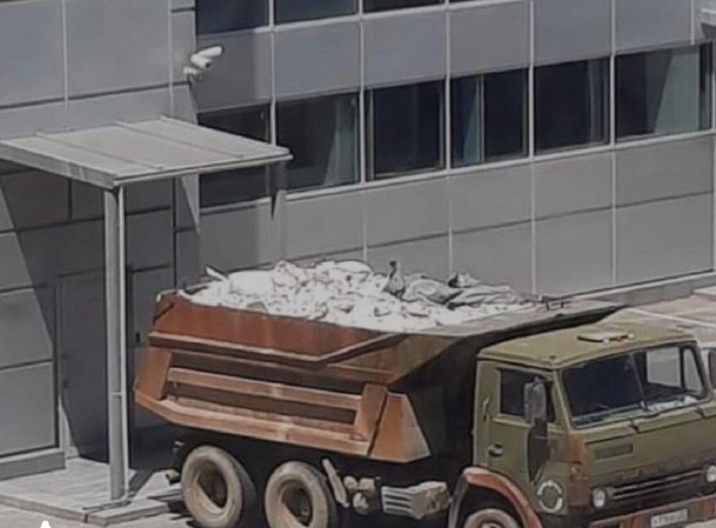 В Астрахани компания, проводившая ремонт в «Кристалле», оштрафована за вред экологии