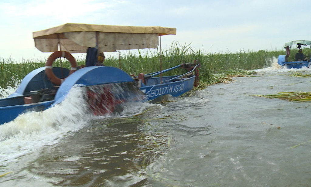 В Астраханской области начали покос водной растительности в дельте Волги