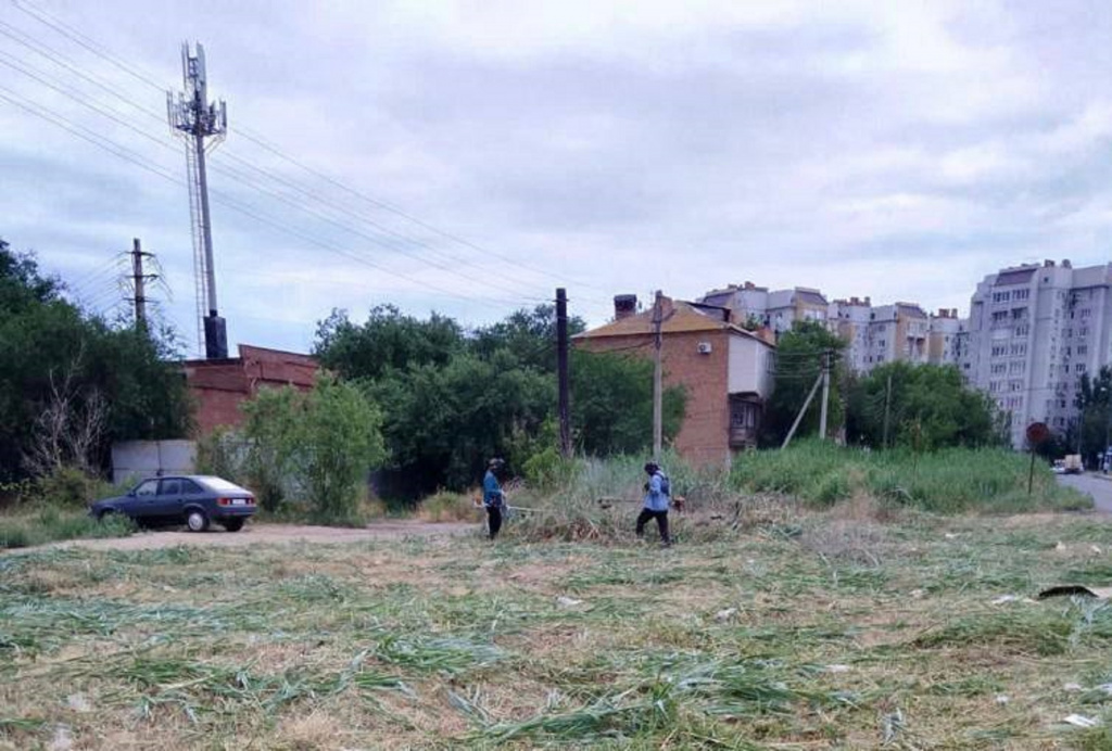 В Астрахани скосили более миллиона квадратных метров сорной растительности