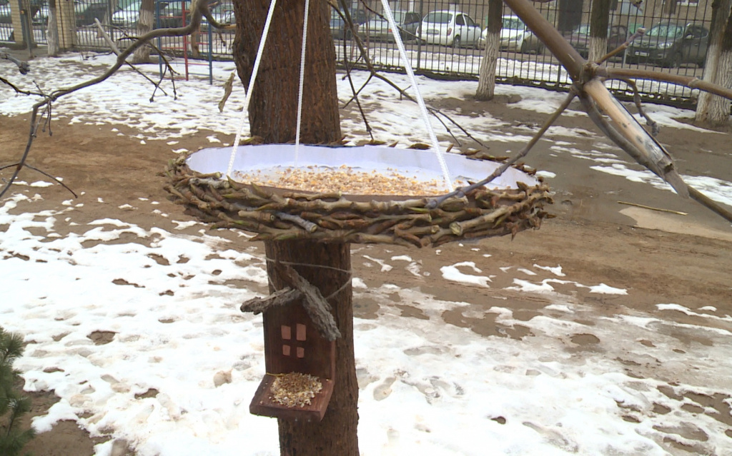 В Астрахани воспитанники центра "Созвездие" смастерили кормушки для птиц