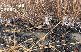 В Астрахани канализационные стоки загрязняют ерик Дарма