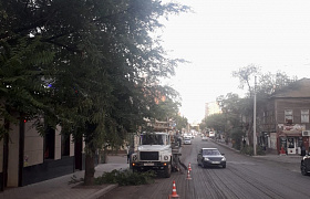 В Астрахани проводят опиловку деревьев вдоль ремонтируемых улиц